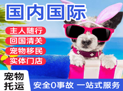 北戴河航空物流国际宠物托运 【国